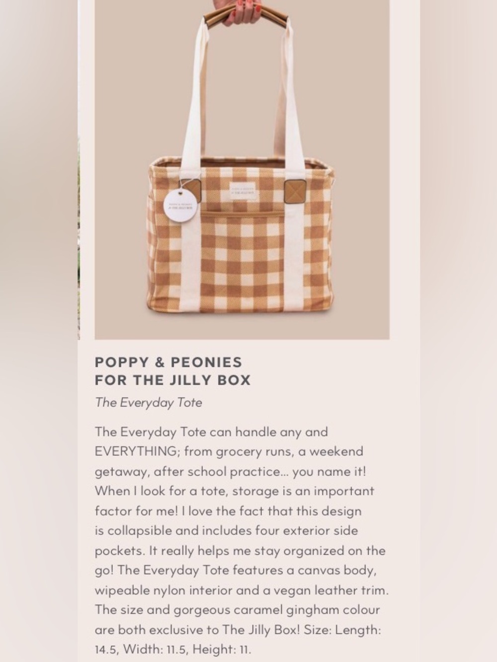Poppy & Peonies Everyday Tote – Jilly Box Exclusive Caramel Gingham – New (Rare) - Picture 6 of 16